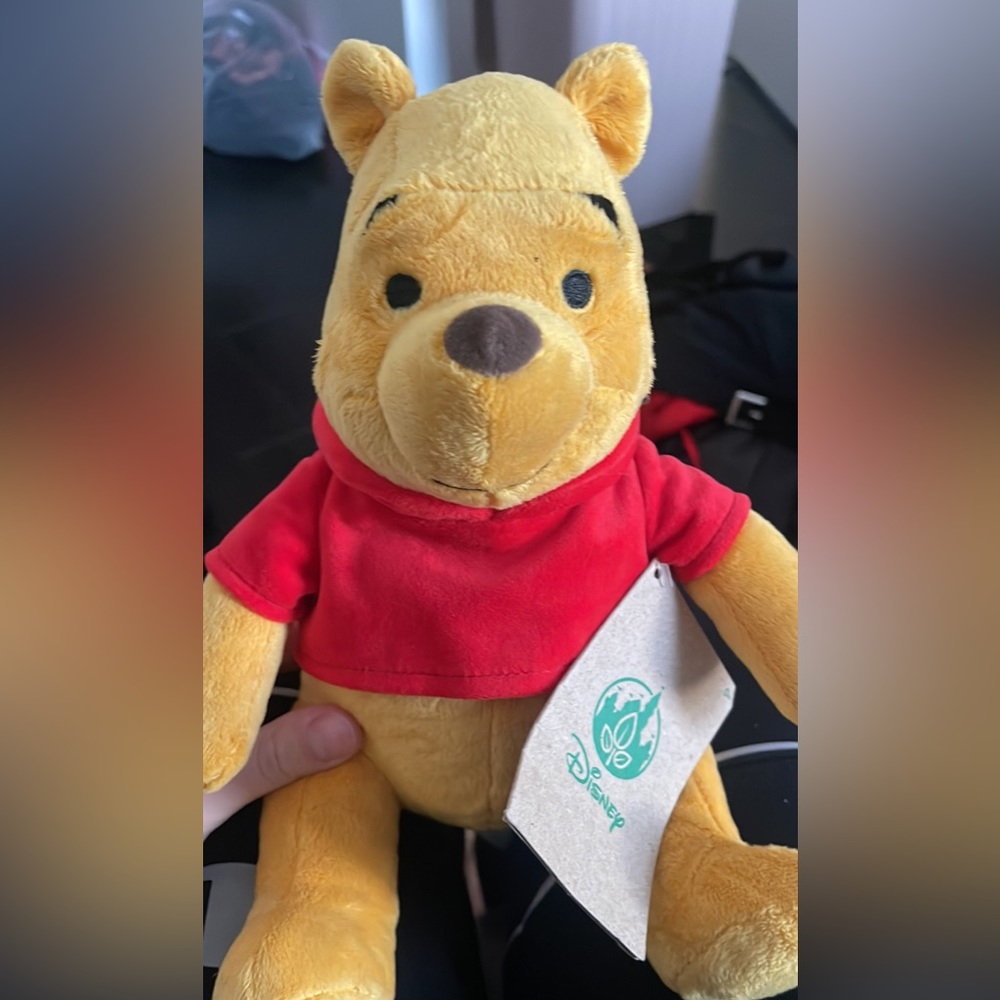 Disney Pooh Bear Stuffed Animal